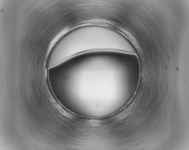X0000087741180200705070919