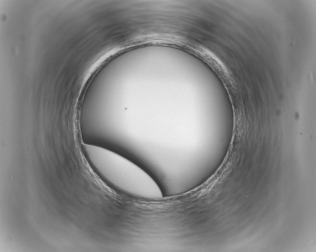 X0000087741182200705070919