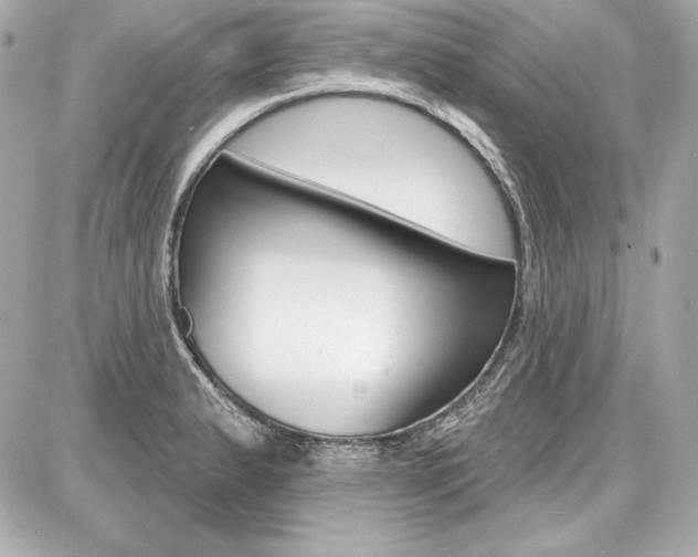 X0000087741183200705070919