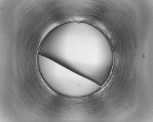 X0000087741186200705070919