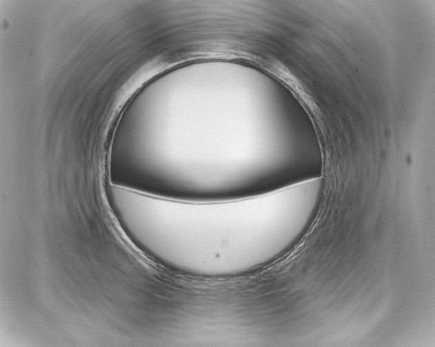 X0000087741187200705070919