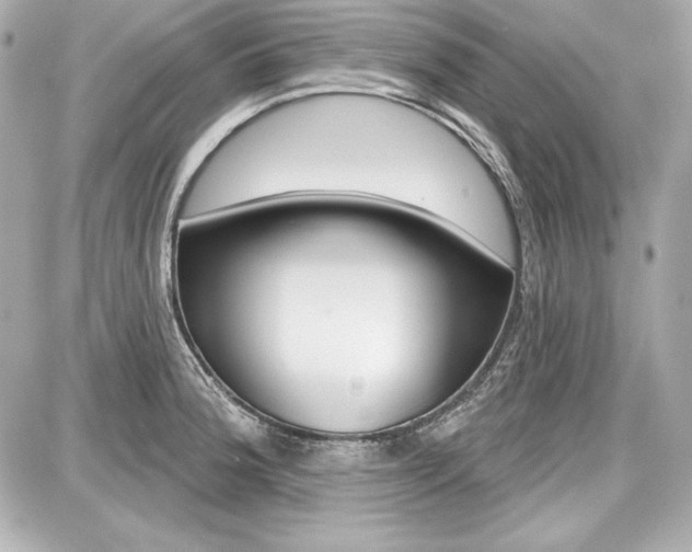 X0000087741188200705070919