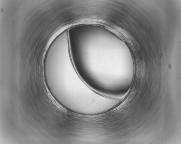 X0000087741192200705070919