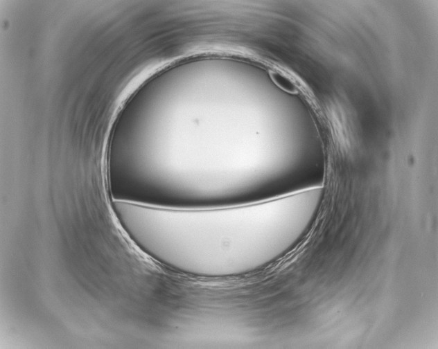X0000087741199200705070918