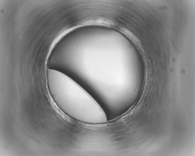 X0000087741200200705070918