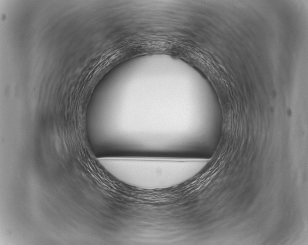 X0000087741201200705070918