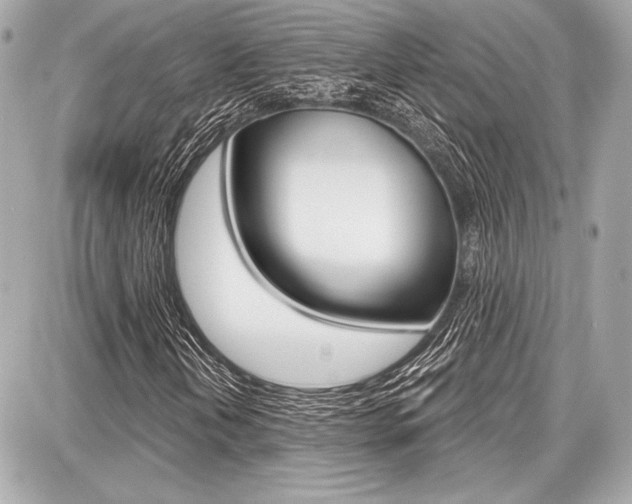 X0000087741202200705070918