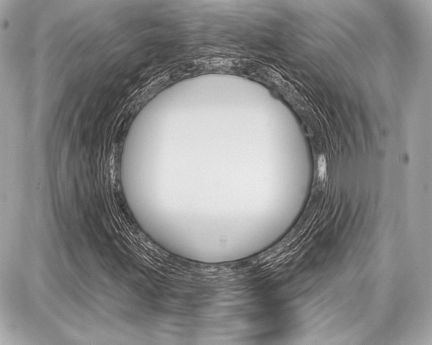 X0000087741203200705070918