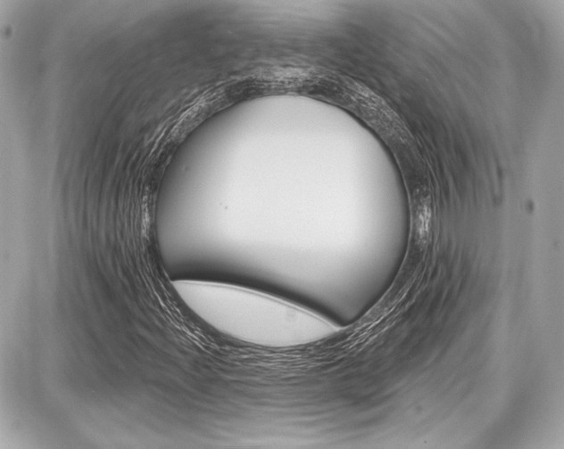 X0000087741204200705070918