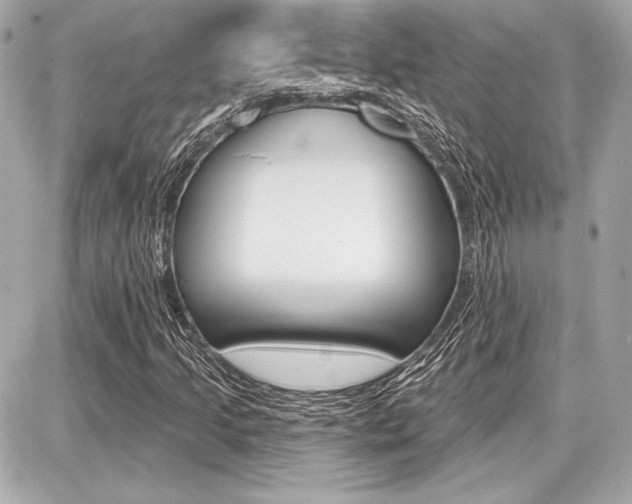 X0000087741205200705070918