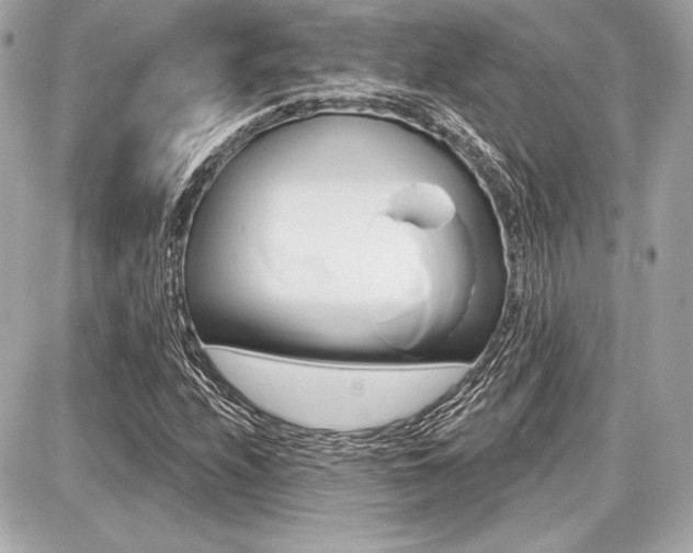 X0000087741208200705070918