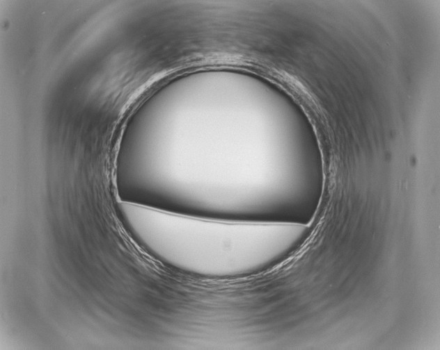 X0000087741212200705070918