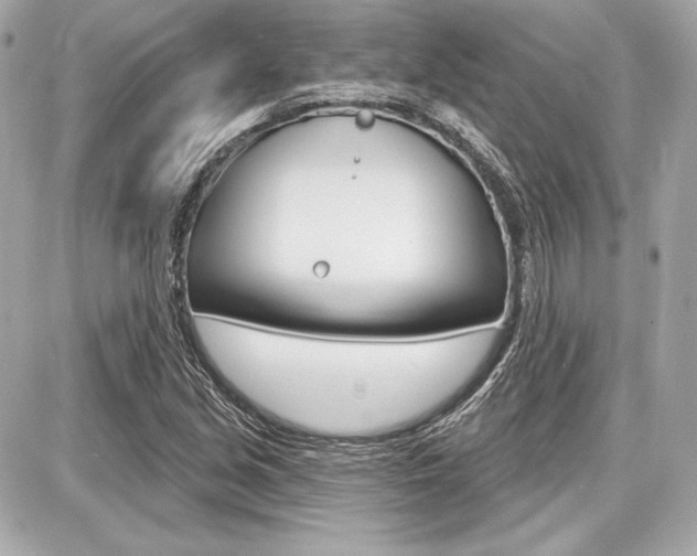 X0000087741213200705070918