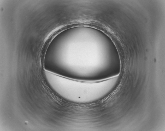 X0000087741214200705070918