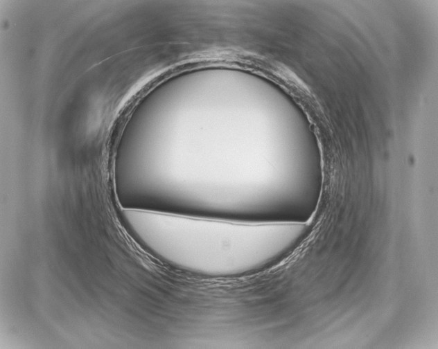 X0000087741216200705070918
