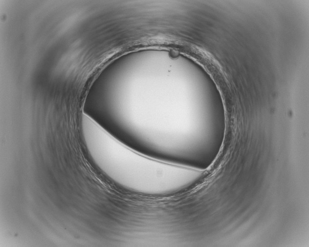 X0000087741217200705070918
