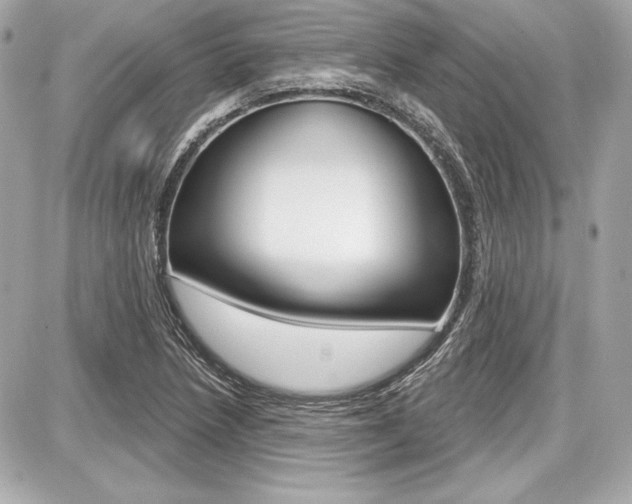 X0000087741218200705070918