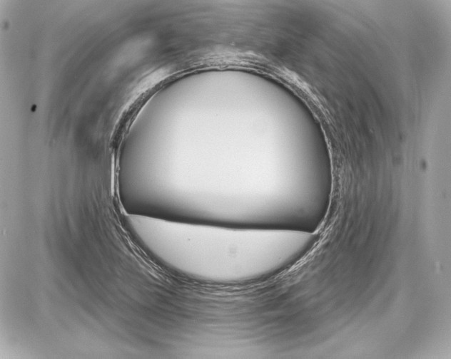 X0000087741219200705070918