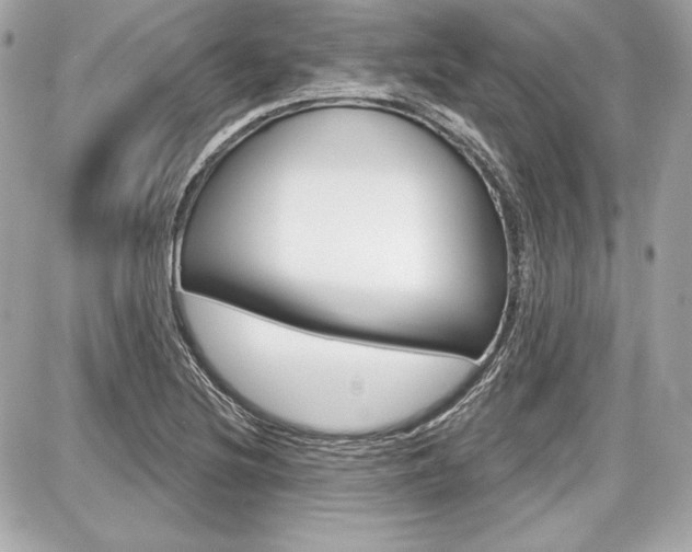 X0000087741220200705070918