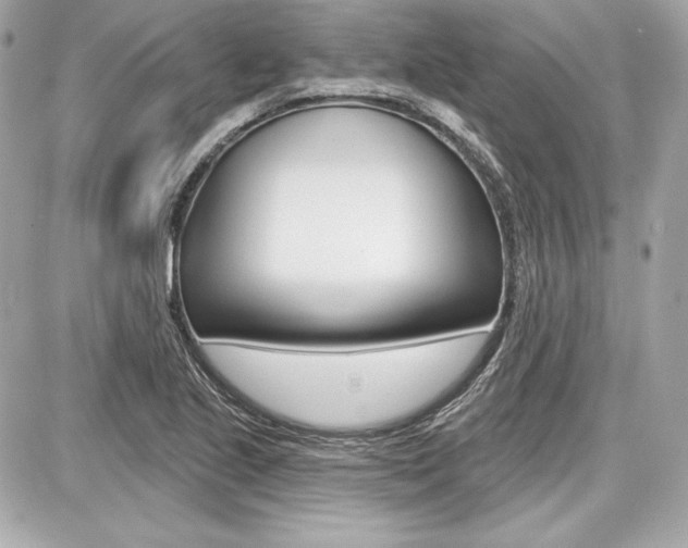 X0000087741221200705070918
