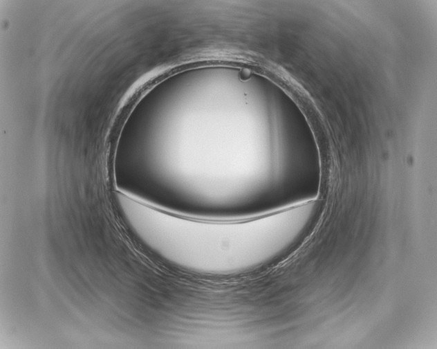 X0000087741222200705070918