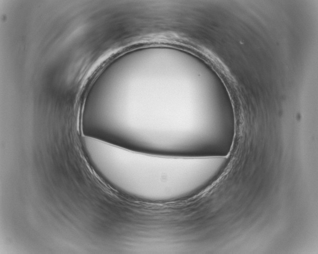 X0000087741224200705070918