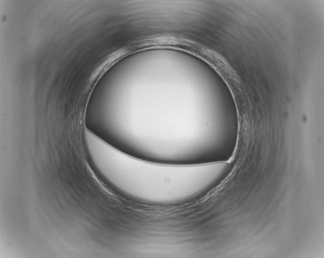 X0000087741225200705070918
