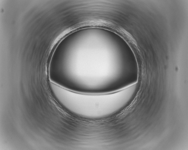 X0000087741226200705070918