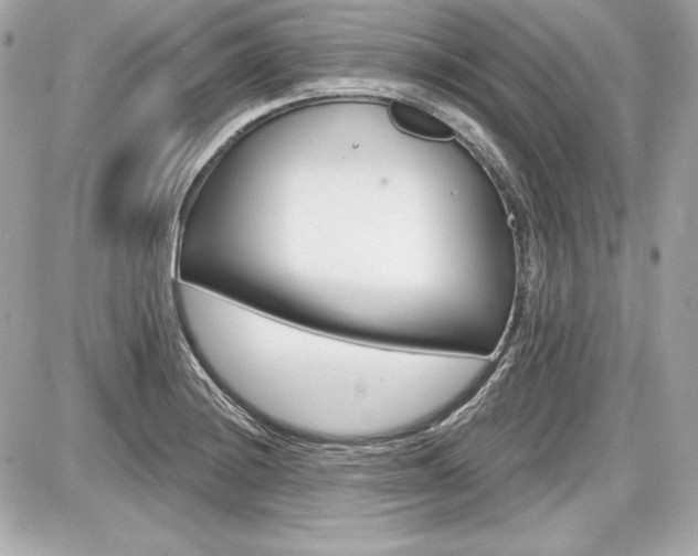 X0000087741228200705070918