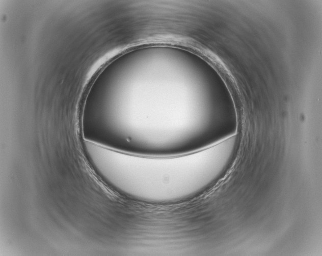 X0000087741230200705070918