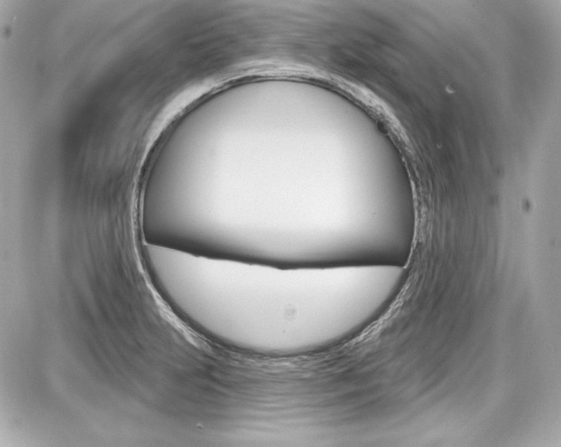 X0000087741231200705070918