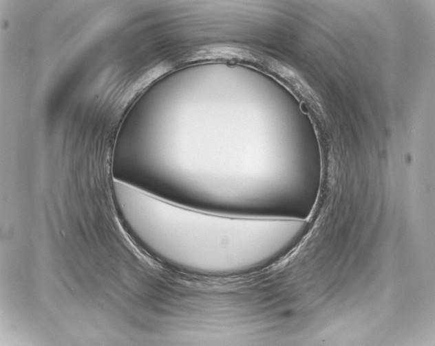 X0000087741233200705070918