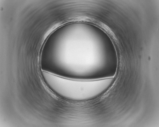 X0000087741234200705070918