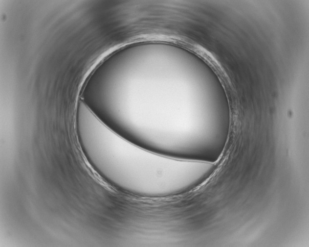 X0000087741236200705070918