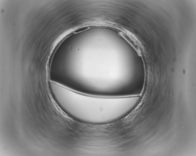 X0000087741238200705070918