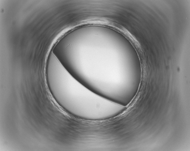 X0000087741240200705070918