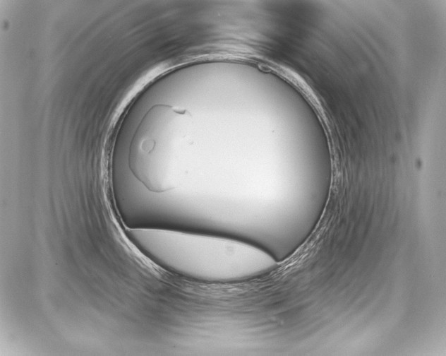 X0000087741243200705070918
