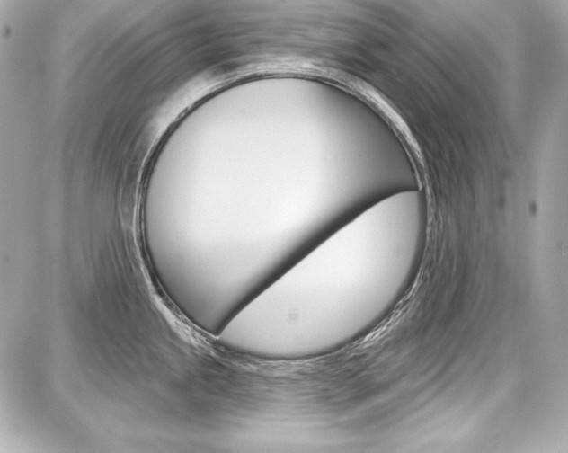 X0000087741245200705070918