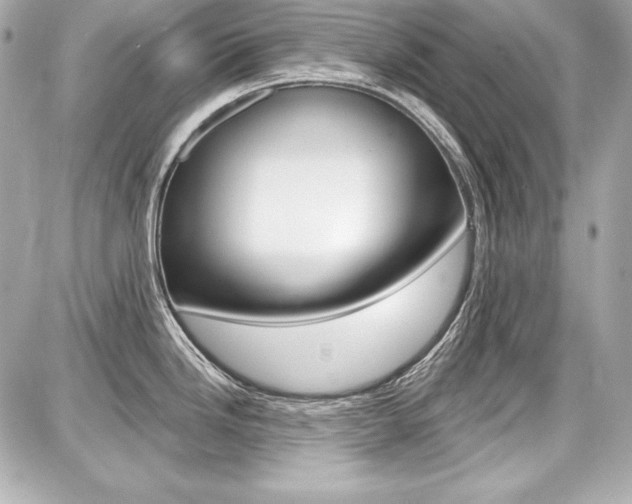 X0000087741246200705070918