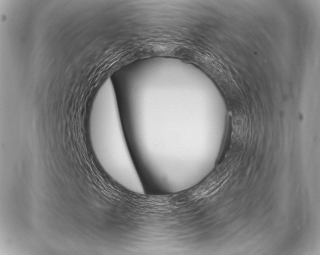 X0000087741249200705070918