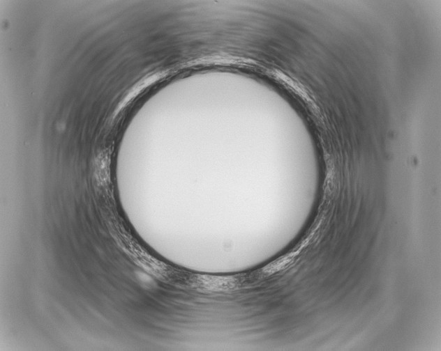 X0000087741258200705070918