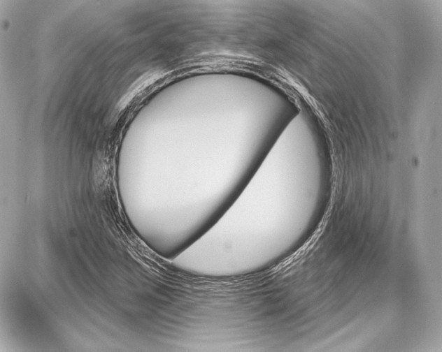 X0000087741259200705070918