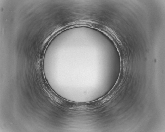 X0000087741260200705070917