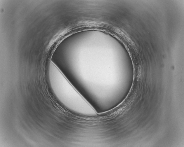 X0000087741261200705070917