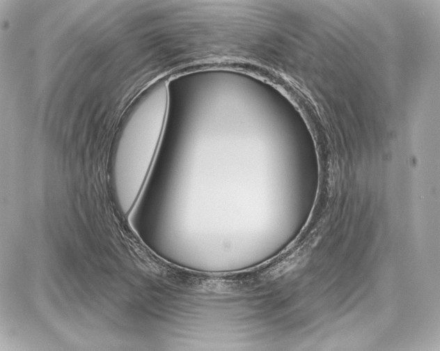 X0000087741265200705070917