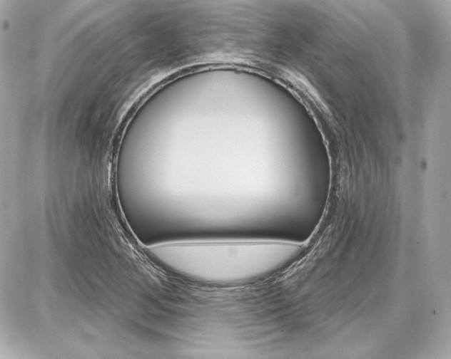 X0000087741268200705070917