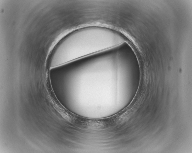 X0000087741270200705070917