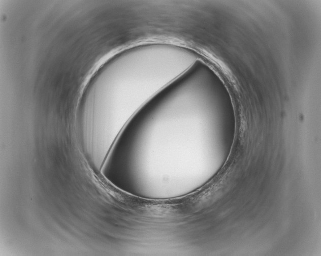 X0000087741272200705070917