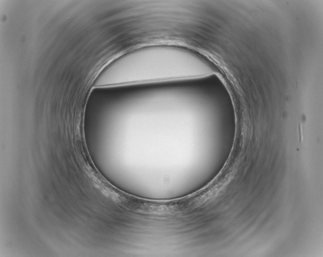 X0000087741273200705070917