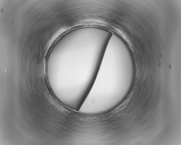 X0000087741275200705070917